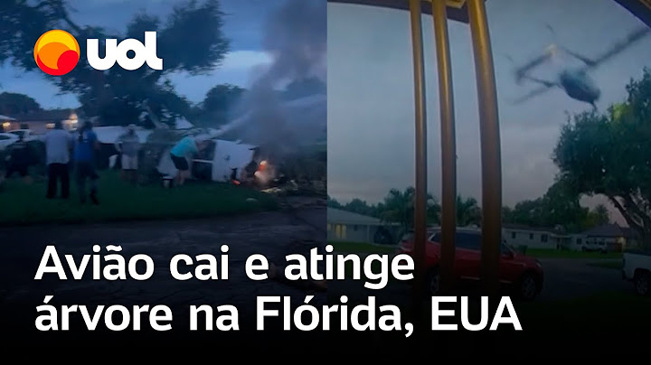 Avião cai e atinge árvore em área residencial nos EUA; moradores ajudam no resgate; veja vídeo