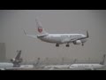 Storm!! JAL Boeing 737-800 Go Around & Crosswind Landing at Narita