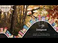 Zeisigwald in 4K (Panasonic Lumix S5, Sigma 45 mm 2.8 DG DN, Weebill S)