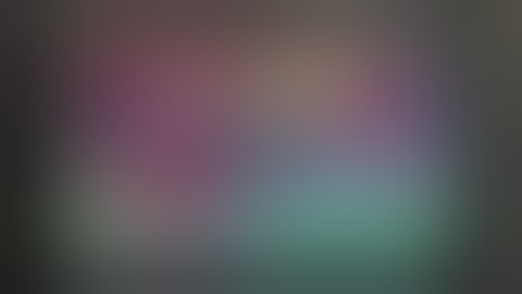 Flash To The Past 4: Toss The Turtle