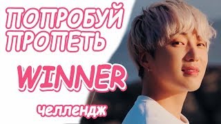 Попробуй пропеть песни WINNER | К-ПОП КАРАОКЕ ЧЕЛЛЕНДЖ