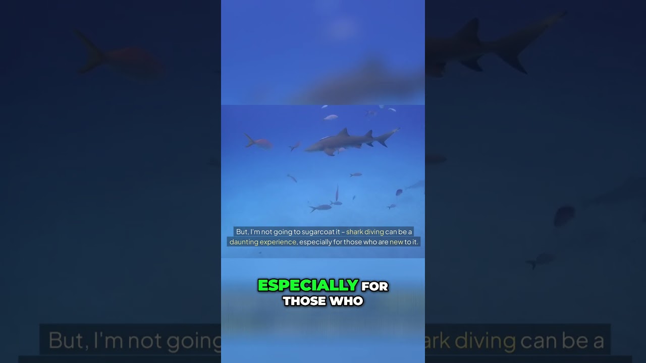 🤩 Shark Diving Adventure - Conquer Your Fears Today