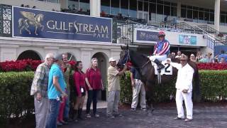 Gulfstream Park Replay Show | December 23, 2016