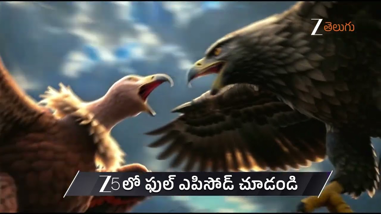 Nindu Noorella Saavasam | Ep - 800 | Preview | Jan 31 2026 | Zee Telugu