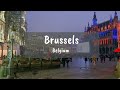 Brussels (Bruxelles) Belgium 2020