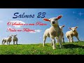 SALMOS 23 - O Senhor e o meu Pastor nada me faltara