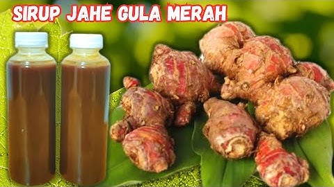 BONGKAR CARA MEMBUAT SIRUP JAHE YANG ENAK TAHAN LAMA
