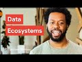 Understanding the Data Ecosystem & Its Function 🌐