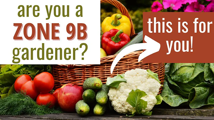 3 Must Have Tips for Zone 9b Gardeners