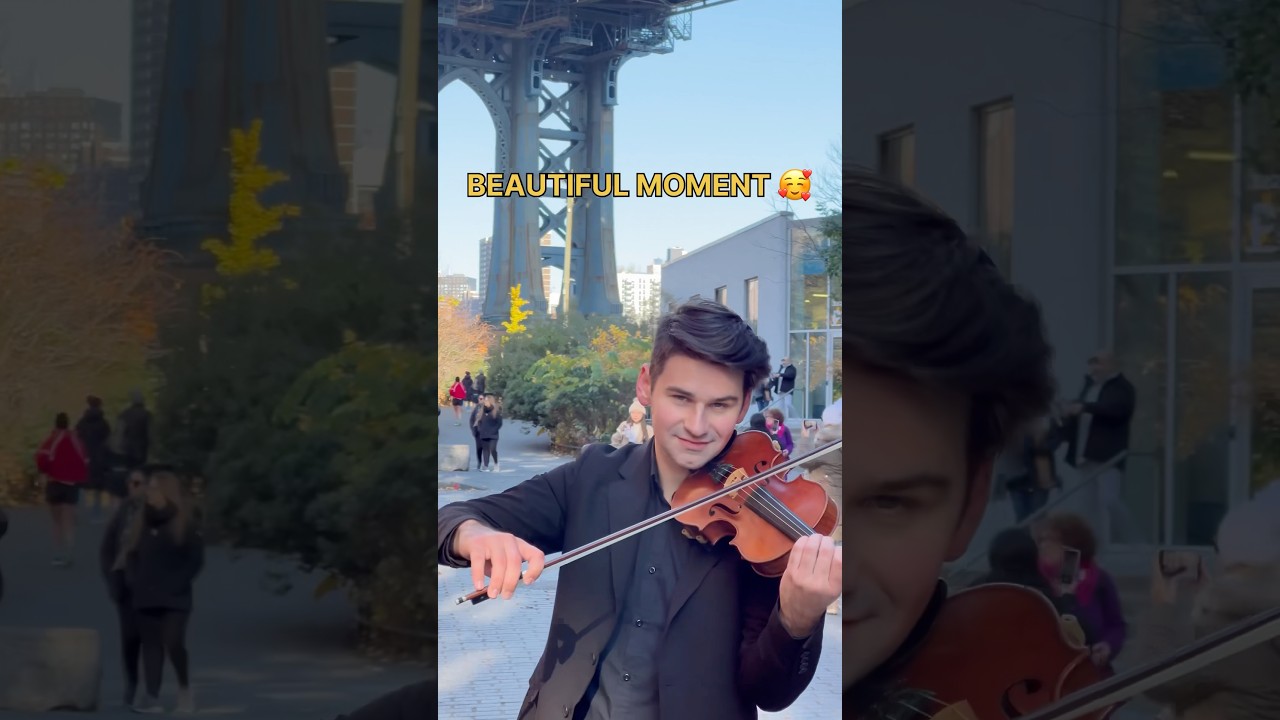 Can’t help falling in love with you - violin cover in New York City - street performance