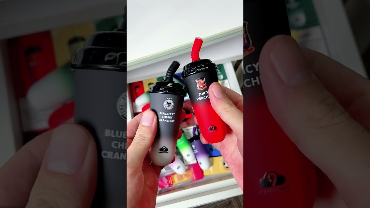 Germany Or Spain? which one do you support?