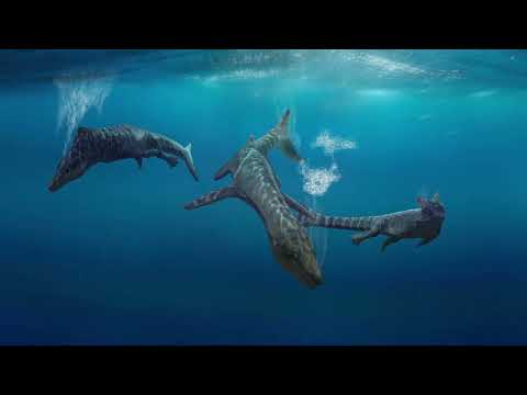 The Complete (& Extended) Draconology Documentary