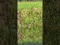 #nature #germany
