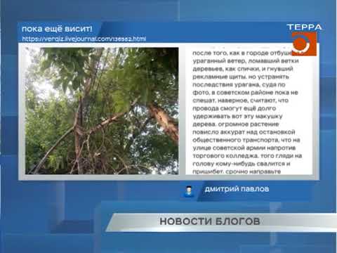 Новости блогов 08.06.2018г