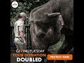 Wildlife. Not Entertainers | Giving Tuesday 2020
