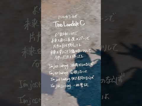 【すきなうた】The Landolt C／ハルカミライ【七十曲目】#ハルカミライ #生きるとは鼻くそくらいの希望を持つことだ #邦ロック #shorts