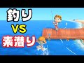 どっちが稼げる!?『 釣りVS素潜り 』今日の風呂掃除を掛けてパパママ対決!!
