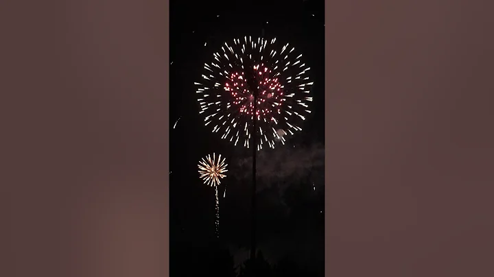 Fourth Of July Vlog | Rachel Zuniga