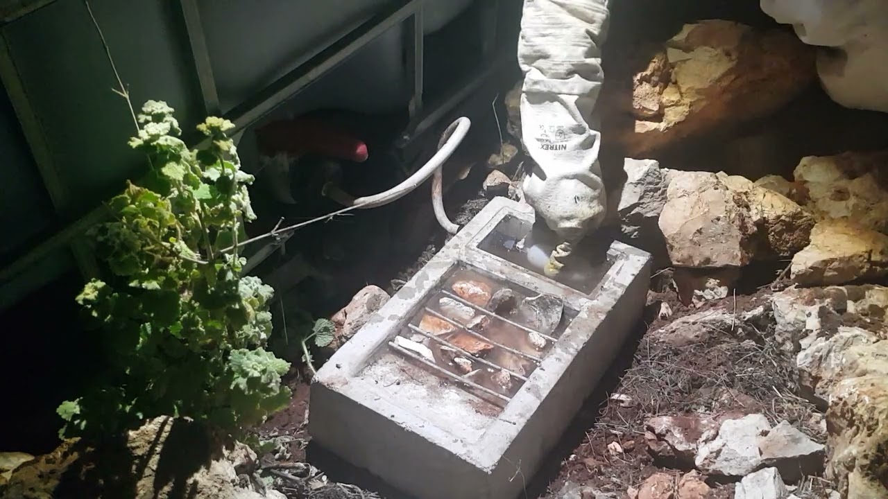 شاهد افضل شرابة ماء لنحل سهلة واقتصادية في الماء و عملية عمل  يوم 12\7\2023  مناحل جيلالي البيضاوي