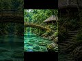 Relax Here for 60 Seconds 🌊🌿