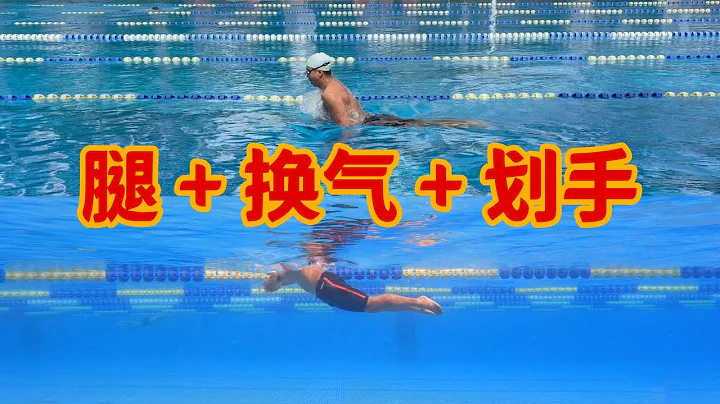 【如何看游泳】4.蛙泳劃手、換氣與腿的配合 - 天天要聞