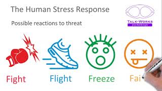 The Human Stress Response in two minutes