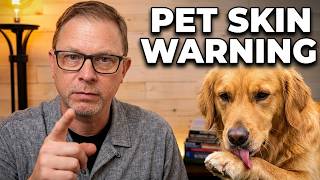 Why Is Your Pet Getting Sick It Could Be a Warning About Your Home