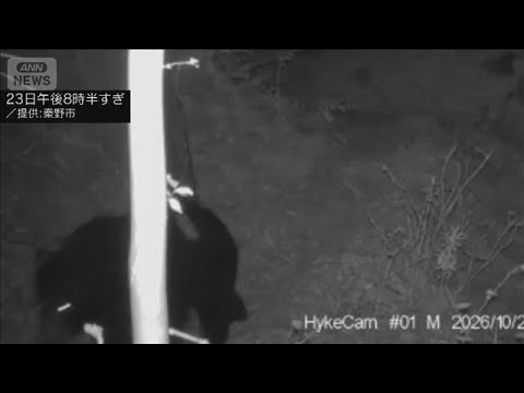 一度捕獲し放したクマがまた出没　神奈川・秦野市(2026年10月25日)