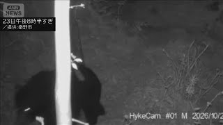 一度捕獲し放したクマがまた出没　神奈川・秦野市(2026年10月25日)