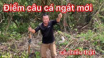 Điểm câu cá ngát mới,dật cần mỗi tay 🎣🎣