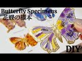 🌹【UVレジン】四季:花蝶の標本を作る/Make a butterfly specimen with a floral pattern.