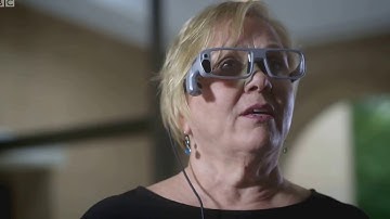 01   THE BRAIN with David Eagleman Part 1   seeing believing internal model