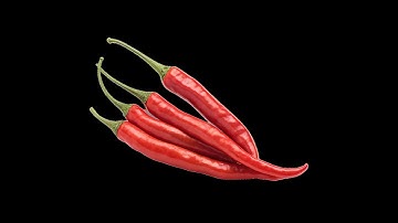 Origami Spicy Chili Pepper – Easy Paper Folding Tutorial