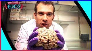 Your Brilliant Brain | Operation Ouch! | S01E02