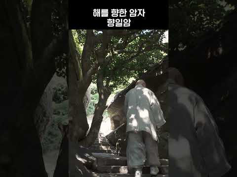 붉게 물든 바다와 절벽 위 암자… 향일암 일출 레전드 ☀️