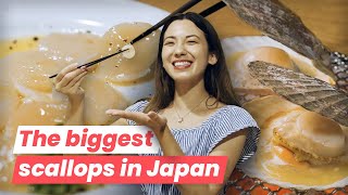 Diving into Flavor of Hokkaido Scallops & 3 Places Where to Eat them in Tokyo!