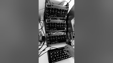 Fantasie         3 x Behringer Crave & Moog Dfam