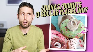 ¿Qué es mejor: donas/donuts para gatos o el collar isabelino?