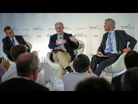 ECB Forum On Central Banking - Panel: Macroeconomics Of Price And Wage-setting, 19 June 2018