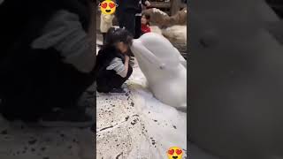 Beautiful . Vlogs With Aneela