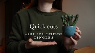 ASMR for ADHD | Exploring Multiple Triggers with Quick Cuts ✂️🎧