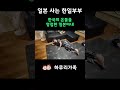일본에서 한국 온돌을 영접한 일본아내 #한일부부 #국제부부 #일본 #한일커플 #호야온돌 #hoyaondol