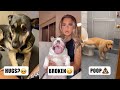 Watch What Those Funny TikTok Pets Have in Mind😍 | Fluff Planet