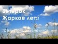 Ветерок. Жаркое лето. Трели птичек и кузнечиков