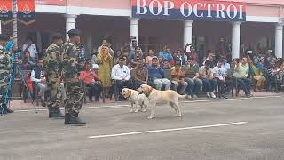 Amazing dogs 🐕 of BSF at INDO PAKISTAN BORDER SUCHETGARH RS PORA JAMMU. #beatingretreat2023