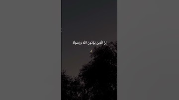 #عبد_العزيز_الراجحي #سورة_الأحزاب #quran #القرآن_الكريم #اللهم_صل_على_نبينا_محمد