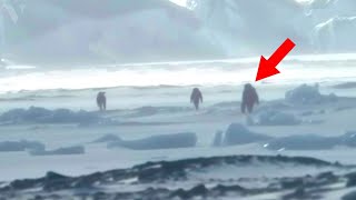 Científicos Descubren Qué Hay Realmente Detrás Del Muro De Hielo En La Antártida