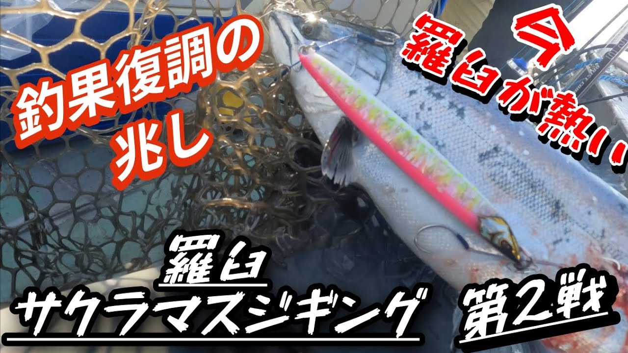 今羅臼が熱い【羅臼サクラマスジギング第2戦】釣果復調の兆し#羅臼 #サクラマスジギング 