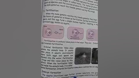 Term-3  5th  Science  Unit-2.Animals  Part-2