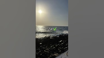 قرآن 🤍 #عبدالرحمن_مسعد #عبدالرحمن_مسعد_تلاوة_جديدة #المصحف #الرحمن #اكسبلور #قرآن #لايك